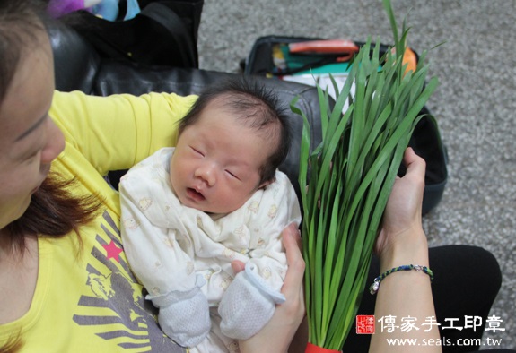 鄭寶寶(新北板橋區到府嬰兒寶寶滿月剃頭理髮、免費到府嬰兒剃胎毛儀式吉祥話)。到府剃頭剃胎毛主持、專業拍照、DVD光碟、證書。★購買「臍帶章、肚臍章、胎毛筆刷印章」贈送：剃頭、收涎、抓周，三選一。2015.10.27 照片10